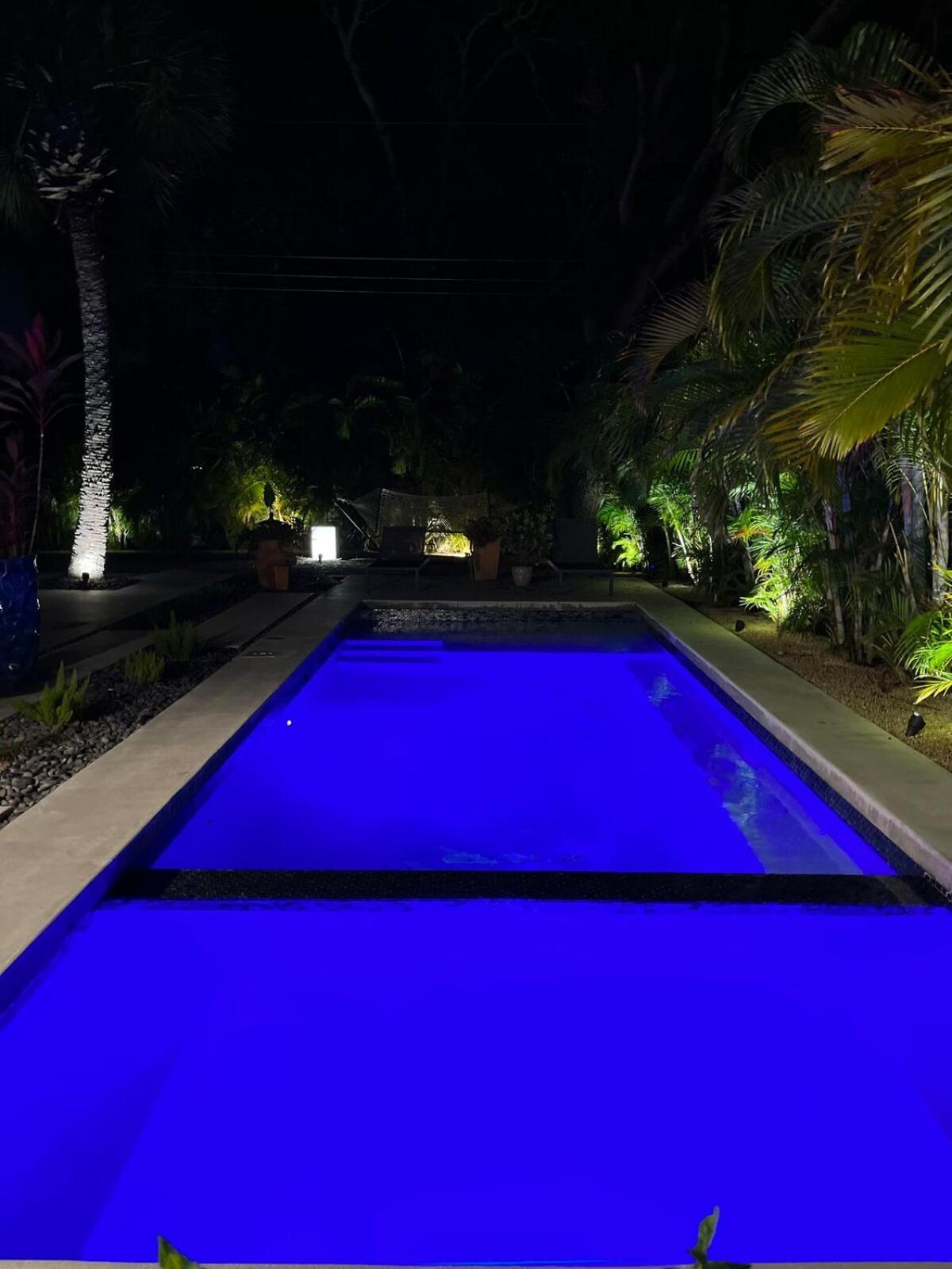 Hiddengem In Charming Sarasota, Florida Villa Dış mekan fotoğraf